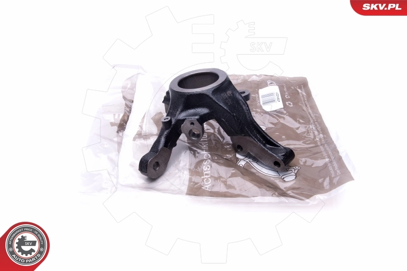 Steering Knuckle, wheel suspension